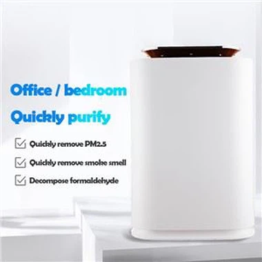 BKJ-300A 음이온 기능을 가진 방 공기 청정기