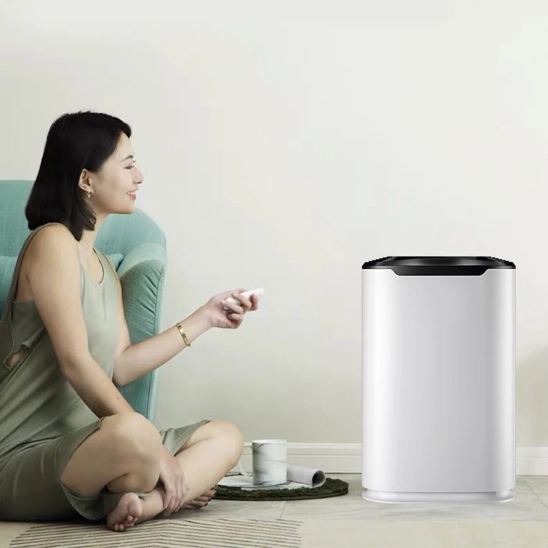 BKJ-215C Economic Applicability Air Purifier