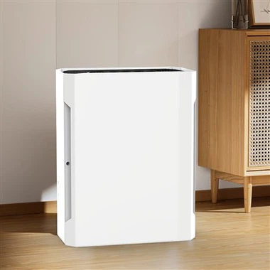 bkj -20 b 2023 Hot Sale Hepa 필터 소형 공기 청정기